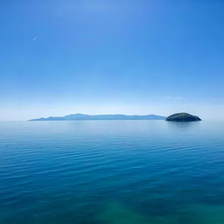 Willa Just On The Sea 2